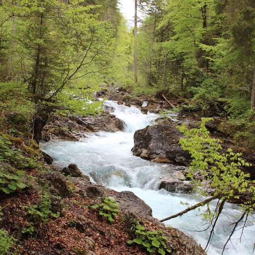 05 Im Mai im Allgäu